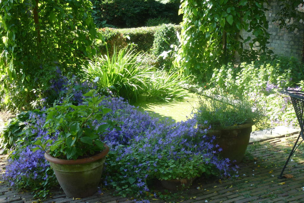 Guesthouse Veerhoeve Sluis Bagian luar foto